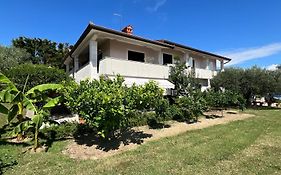 Blue Horizon Apartments Seca