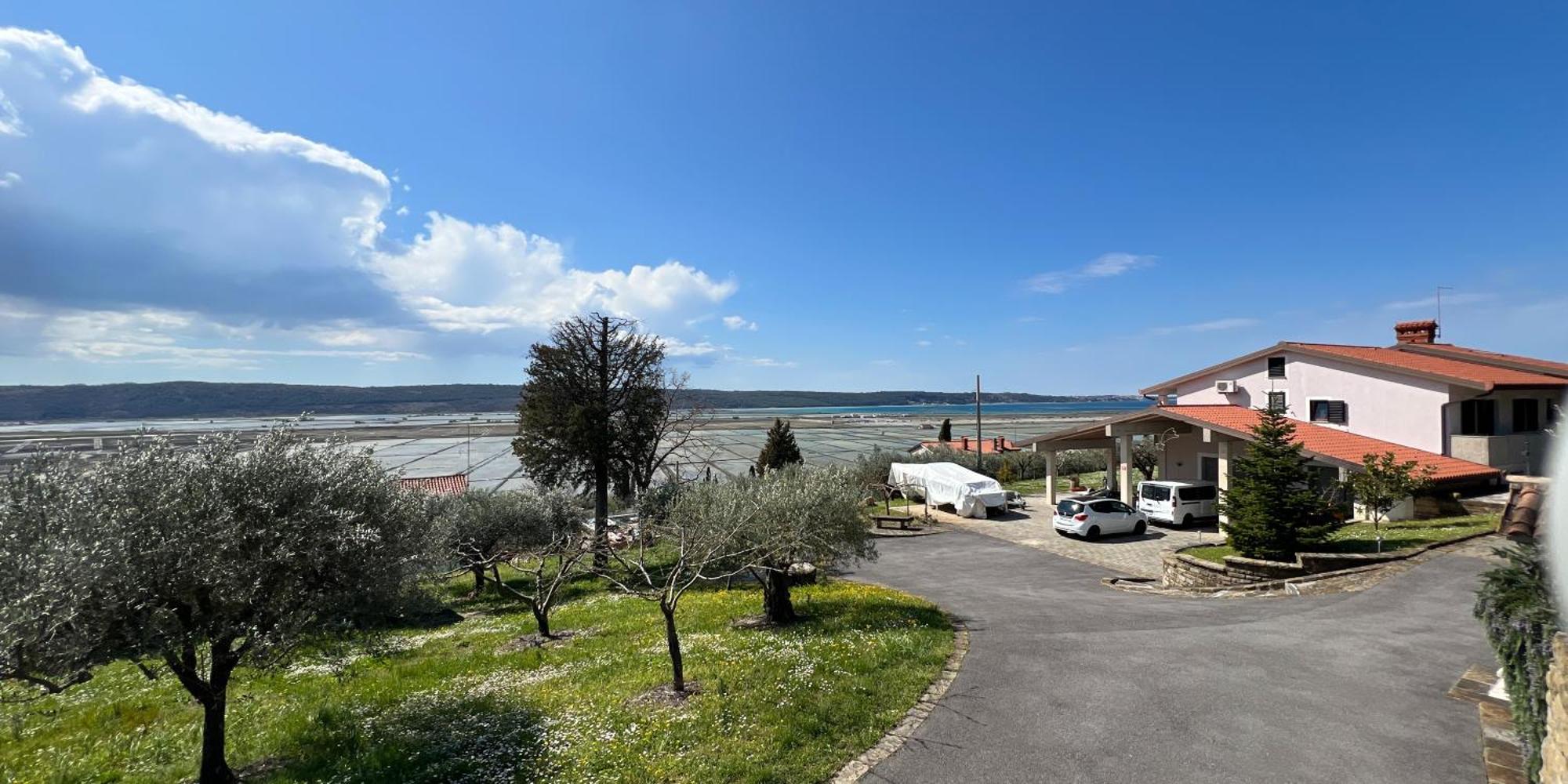 Blue Horizon Apartments Seca Portorose Esterno foto